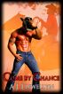 Come by Chance by A. J. Llewellyn