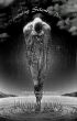 Drowning Silence Poetry by Michael Jones
