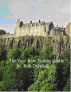 The view from Stirling Castle by Bob Drysdale
