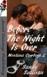 Before The Night Is Over (Montana Cowboys 2) by Sandy Sullivan