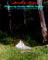 Cover for 'Across the Silence: Poems by James David Audlin'
