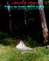 Across the Silence: Poems by James David Audlin by James David Audlin