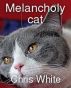 Melancholy cat by Chris White