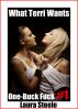 One-Buck Fuck #1: What Terri Wants by Laura Steele