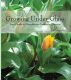 Growing Under Glass: Your Guide to Greenhouse Gardening Success by Hilery Hixon