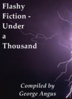 Cover for 'Flashy Fiction - Under A Thousand'