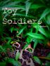 Toy Soldiers by Filipa Leemann