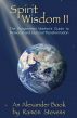 Spirit Wisdom II: The Enlightened Warrior's Guide to Personal and Cultural Transformation by Ramon Stevens