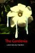 The Gardenia, a Short Story by J Hamilton