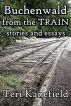 BUCHENWALD FROM THE TRAIN: A Collection of Stories and Essays by Teri Kanefield