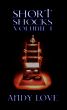 Short Shocks Volume I by Andy Love