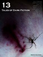 Cover for '13: Tales of Dark Fiction'