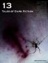 13: Tales of Dark Fiction by Adam Bradley