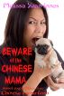 Beware of the Chinese Mama: Novel Excerpts About the Chinese Mama-fioso by Melissa Yuan-Innes