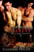 A Wicked Caress by Stephani Hecht