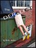 The Derelict by Heide Braley
