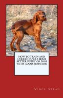 Cover for 'How to Train and Raise a Irish Setter Puppy or Dog with Good Behavior'