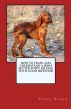 How to Train and Raise a Irish Setter Puppy or Dog with Good Behavior by Vince Stead