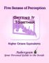 Five Senses of Perception: Higher Octave Equivalents by Aubergean 