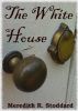 The White House by Meredith Stoddard