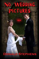 Cover for 'No Wedding Pictures'
