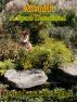 Airmid: A Spero Devotional by Alan Leddon
