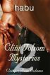 Clint Folsom Mysteries Compendium Vol 2 (Gay Erotica/Gay Murder Mysteries) by Habu 