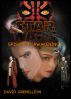 Star Wars: Awakening by David Gremillion