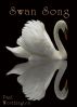 Swan Song by Paul Worthington