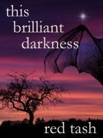 Cover for 'This Brilliant Darkness'