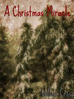Cover for 'A Christmas Miracle'