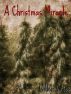 A Christmas Miracle by Willow Cross