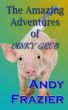 The Amazing Adventures of Oinky Grub by Andy Frazier