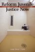 Reform Juvenile Justice Now: A Judgeâ€™s Timely Advice for Drastic System Change by Steven C. Teske