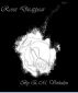 Roses Disappear by E. M. Verhalen