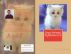 How to Understand and Take Care of Your Ragdoll Kitten & Cat by Vince Stead