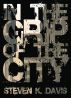 In the Grip of the City by SK Davis