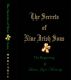 The Secrets of Nine Irish Sons I - The Beginning by Laura Joyce Moriarty