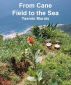 From Cane Field to the Sea by Yasmin Morais