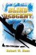 Blind Descent by Robert Hess