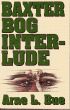 Baxter Bog Interlude by Arne Bue