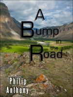 Cover for 'A Bump in the Road'