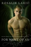Cover for 'For Want of an Angel'