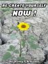 Re-Create Yourself Now by Stanley Bronstein