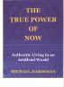The True Power of Now: Authentic Living in an Artificial World. by michael hardiman