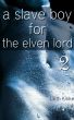 A Slave Boy For the Elven Lord 2 by Lilith Kinke