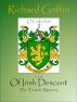 A Tale of Irish Descent - The Triskele Mystery by Richard  T Griffin