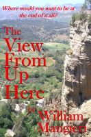 Cover for 'The View From Up Here'