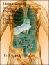 Human Anatomy and Physiology Practice Questions: Urinary System by Dr. Evelyn J Biluk