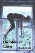 The Story of Carter by Nicole Smith